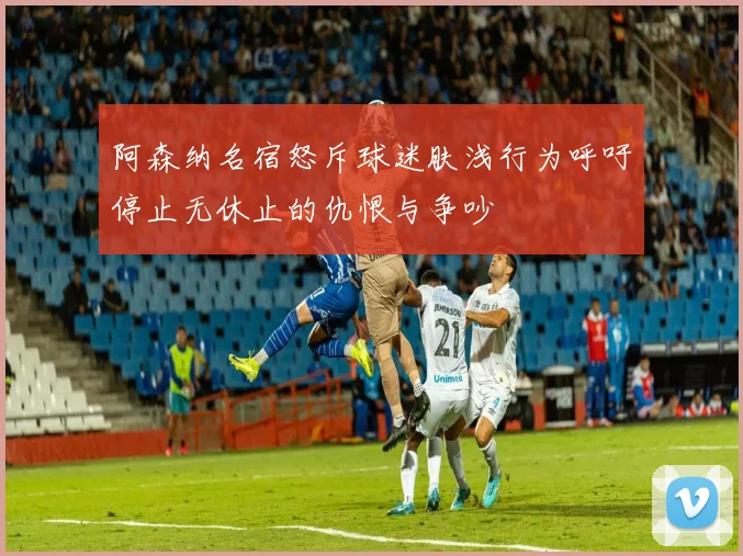 阿森纳名宿怒斥球迷肤浅行为呼吁停止无休止的仇恨与争吵