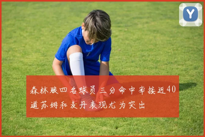 森林狼四名球员三分命中率接近40道苏姆和麦丹表现尤为突出
